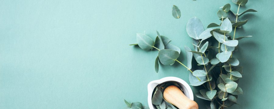 In Resonanz Naturheiltherapie für Mensch und Tier In Resonanz mit Katharina Willems Naturheiltherapeutin für Menschen und Tiere